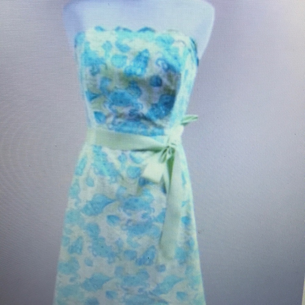 Lily Pulitzer Sea Shells Beach Scalloped Dress